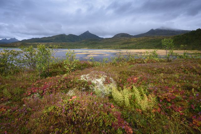 Lac Norvégien